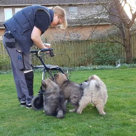 Auch der Rollator kommt zum Einsatz