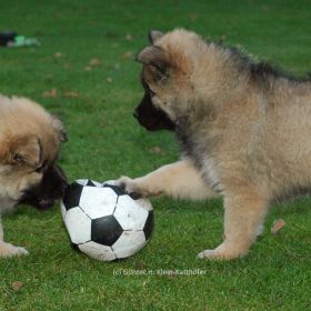 Damenfußball: Flame & Frenja