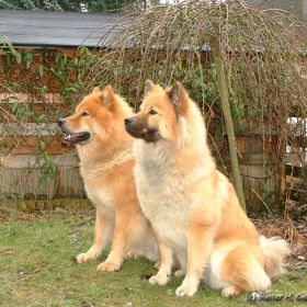 Hochzeitsfoto Athos & Raika