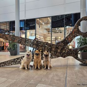 Kiwi, Tiffany, Urmel