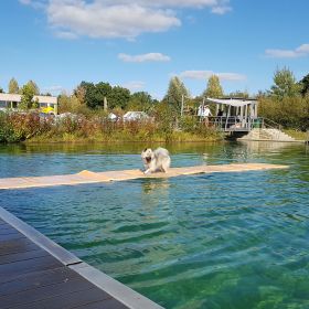 Urmel-im-Freibad-2018.jpg