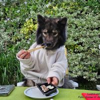 Sushi ist lecker