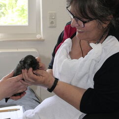 Kontrolle durch die Zuchtwartin