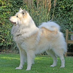Luigi mit 3 Jahren
