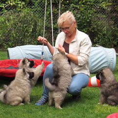 Betteln klappt schon