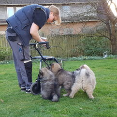 Prägung auf Alltagsgegenstände