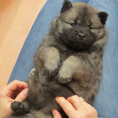 Knuddelstunde mit Ivan