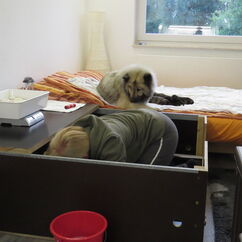 Kontrolle der Putzfrau