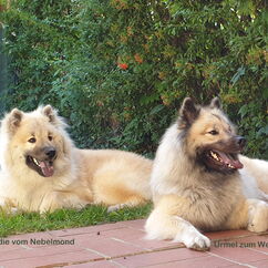 Indie mit Mutter Urmel