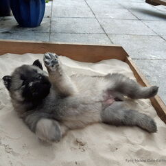 im Sandkasten 31. Tag