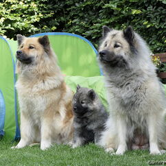 Oma Tiffany, Luana, Mama Urmel