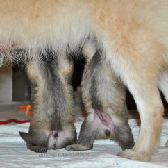 Eragon & Emilia (21. Tag)