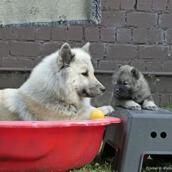 Spiel mit der Schwester