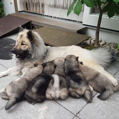 Ran an die Milchbar!