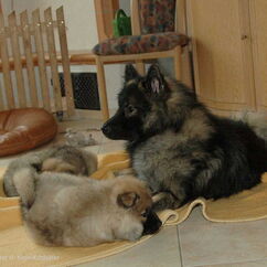 Frenja & Flame mit Papa Ayo