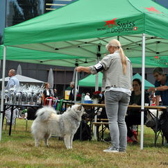 Kiwi bei der Ausstellung in Luzern