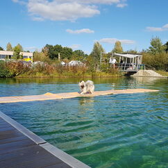 Urmel auf dem Wasser