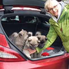 Erste Aufofahrt (58. Tag)