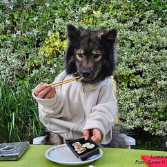 mit mir kann man es ja machen...