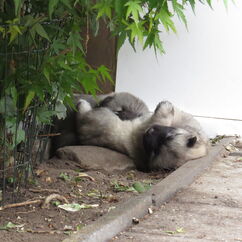 geschlafen wird dort, wo ich müde werde