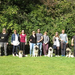 Indie, Heika, Ilay, Urmel, Ivan, Gina, Tiffany