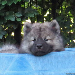 beim Schläfchen gestört?