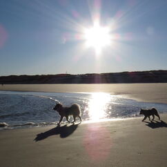 erster Nordseeurlaub