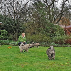 Erster geplanter Ausflug in Nachbars-Garten