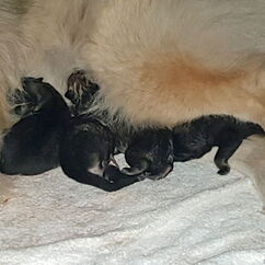 Direkt nach der Geburt