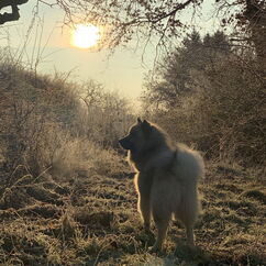 Ilay im Sonnenuntergang