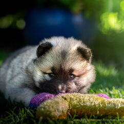 Jeska mit Charmfaktor