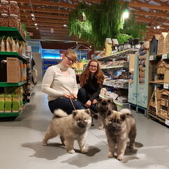 Prägungsfahrt zum Fressnapf