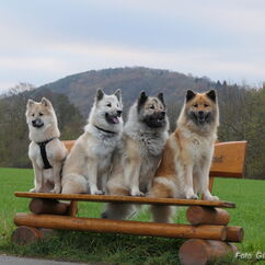 Merle, Mama Kiwi, Oma Urmel, Uroma Tiffany