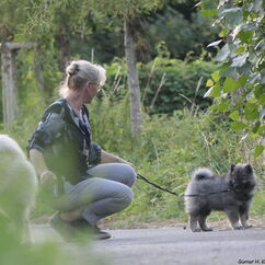 Erstes Leinentraining mit Luana