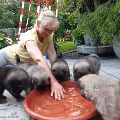 Füßchen kühlen bei warmen Wetter (31. Tag)